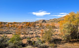 Galisteo River View