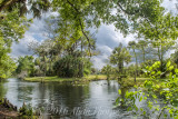 Florida Swamp in the Storm Clouds