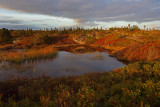 Nova Scotia Landscape