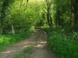 The  route  to  follow.