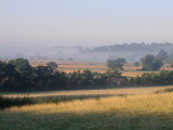 Morning  mist  in  the  Rother  Valley