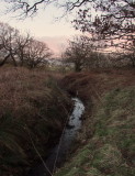 A  drain  from  Lochwood  Moss.
