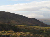 The  Long  Stone ,275m., on Barcombe  Ridge