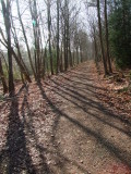 Greensand  Way , in  Goodley  Stock.