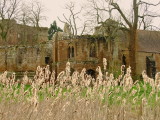 A  chapel , remains  of , fronted  by  bullrushes.