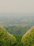 A  red  balloon  over  The  Weald