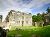 Berry  Pomeroy  Castle