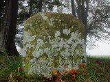 Offas  Dyke  marker  stone.
