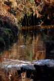 Moorland  reflections, above  a  waterfall.