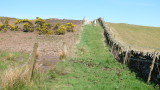The hill climb.