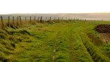 Flkington  Hill  fills  the  horizon, where  the  track from Alfriston, reaches its  heights.