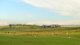 Hadrians  Wall : The  turf  Wall .--  at  High  House  farm.