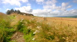 Looking  south  along  The Dyke , in  strong  winds.