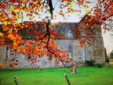 St. Marys  church , with autumnal  leaves.