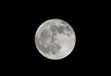 Full  Moon  0477