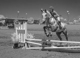 IR Horse Jumping 2616