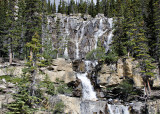 Bridal Vail Falls - Icefields Parkway