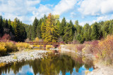 Logan Creek Footbridge