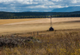 Windmill 