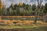 Fall On The Whitefish River