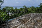 View from the upper level of the Lookout Inn - Osa Peninsula Costa Rica