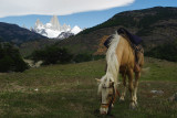 Horse Trekking, Patagonia