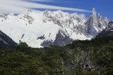 Trekking to Laguna Torre, Patagonia