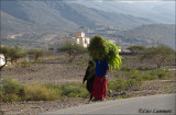 People Oman_MG_6610 Pbase.jpg