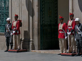 Guardias de palacio