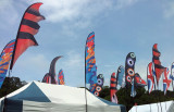 Custom Made Flags