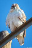 rmr14-00329-LR-DS.jpg