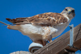 rmr14-00448-LR-DS.jpg