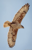 rmr14-00488-LR-DS.jpg