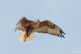 rmr14-02679-DS.jpg