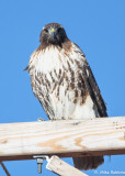 rmr14-03524-DS.jpg