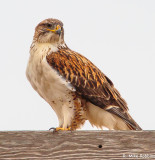 mr15-00330-DS.jpg