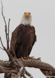mr15-00402-DS.jpg