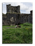 Kells Ruins - near Kilkenny, Ireland PtII