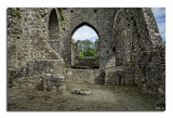 Kells Ruins - near Kilkenny, Ireland PtIII