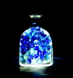 Patron Bottle / BLUE