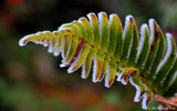 D3-012113-093.jpg