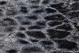 V1-010713-129-.jpg