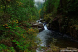 Brice Creek Falls