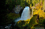 Sahalie Falls On The McKenzie River