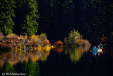 Clear Lake, the Origin of the McKenzie River