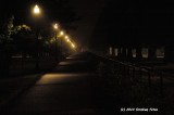 Morning darkness along Pioneer Parkway