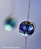 Orbiting