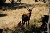 D3-071814-122-web.jpg