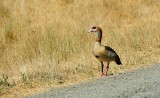 D3-071814-213-web.jpg