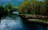 Along The Beautiful McKenzie River